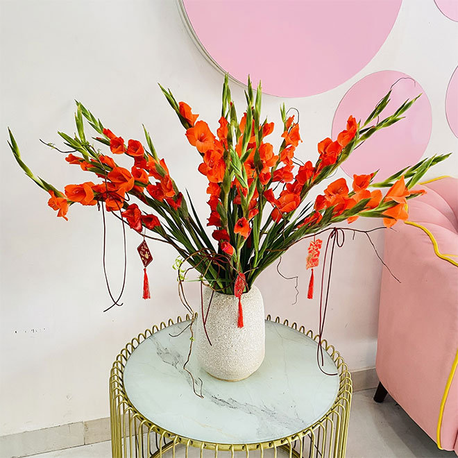 bình hoa tết - lay ơn bình hoa tết - lay ơn