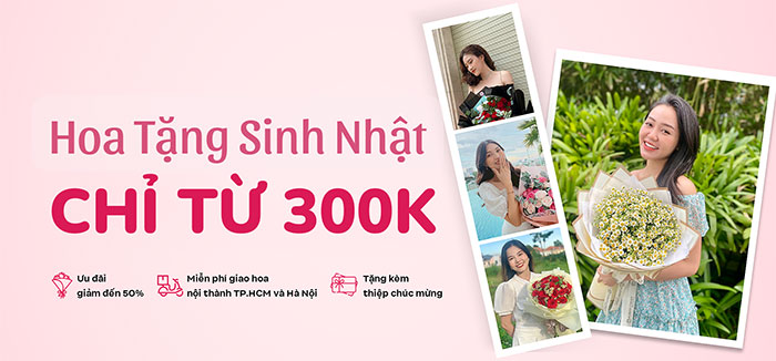 hoa sinh nhật đẹp chỉ từ 300k hoa sinh nhật đẹp chỉ từ 300k